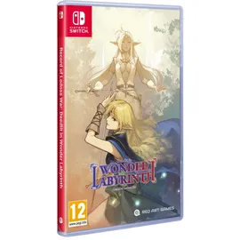 Record of Lodoss War Deedlit in Wonder Labyrinth - Switch