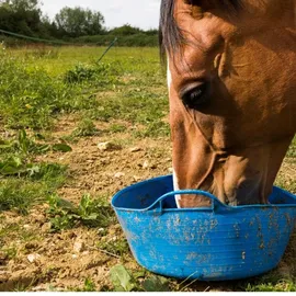 Lyra Pet 7,6 kg Lyra Horse® Multivital Mineralfutter Klassik im Eimer