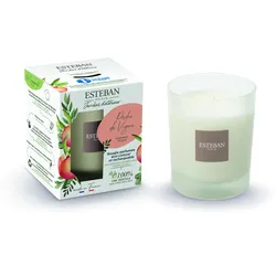 Rebpfirsich Duftkerze 180g