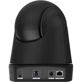 AVerMedia AVer DL30 Fullhd Webcam - Black