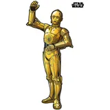 KOMAR Selbstklebende Fototapete Vlies Star Wars C-3PO 127 x 200 cm