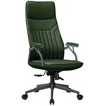 aea Chefsessel Holz Grün
