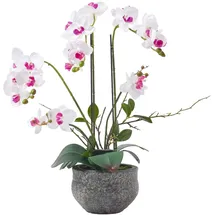 Homescapes KUNSTBLUME Orchidee weiß-pink im Deko-Topf, 52 cm