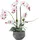 Homescapes KUNSTBLUME Orchidee weiß-pink im Deko-Topf, 52 cm