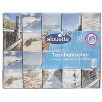 30x10 Stück Kleinpackungen Taschentücher (waschmaschinenfest) weiß, alouette