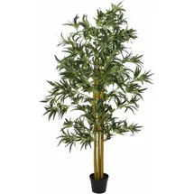Europalms Bambus Multistamm, 180cm
