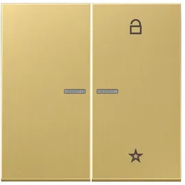 Jung Taster FM ME 1701 C