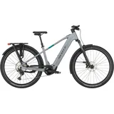 Scott Axis 10 - 29 Zoll 800Wh 12K Diamant - bird grey - M