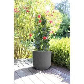 Eda Basalt Up Ø 48,5 cm Anthrazit