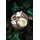 SELTMANN WEIDEN Life Fashion Teeservice 18-tlg. weiß