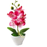 EpheyFIF Künstliche Orchideen im Topf, 1 Packung Topf-Orchidee, künstliche Phalaenopsis-Blumen mit Kunststoffvase für Tisch, Heimdekoration, Büro, Hochzeit, Party, Dekoration (rot)