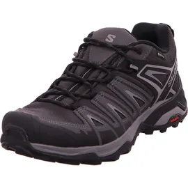 Salomon X Ultra Pioneer Gore-Tex Herren Phantom / Black / Quiet Shade 42 2/3