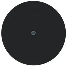 Berker Zentralstück sw/gl 10192045