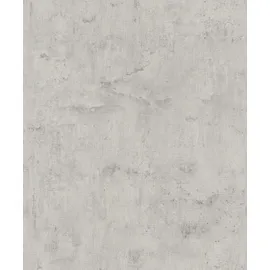 Rasch Textil Vliestapete 10,05 m x 0,53 m 407341 Grau/Silber