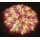 Eurolite Lichtschlauch 9 m multicolor