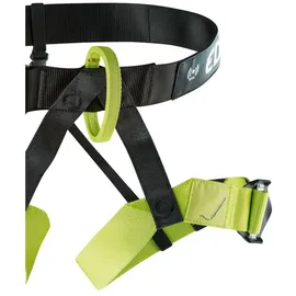 Edelrid Jocker Klettergurt Grün/Schwarz