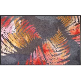 Kleen-Tex Fußmatte Erbario - B/H/T ca. 75,00x,70x190,00