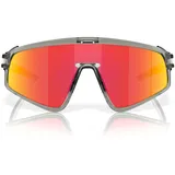 OAKLEY LATCH PANEL Grau