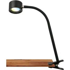 Briloner - LED Schreibtischlampe mit Akku, magnetisch abnehmbar, 360 Grad drehbar, dimmbar, CCT, Leselampe kabellos, Klemmlampe, Klemmleuchte, Nachttischlampe, Leselicht Kinder, 44 cm hoch, Schwarz