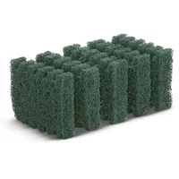 Kärcher Handpads (6.369-514.0)