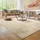 Paco Home Moderner Kuscheliger Wohnzimmer Teppich Kurzflor waschbar flauschig Weich Einfarbig Felloptik zeitlos stilvoll rutschfest pflegeleicht, Grösse:160x220 cm, Farbe:Beige 2