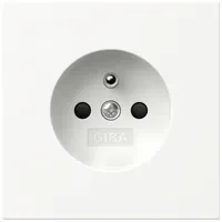 Gira Steckdose Erdstift 448570
