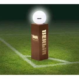 DS PRODUKTE BSC LED-Dekosäule Rost-Optik 84cm 3V braun mit Leuchtkugel - Braun