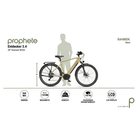 Prophete Entdecker 3.4 28 Zoll RH 54 cm Beige