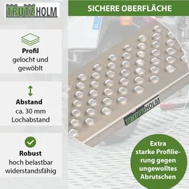 Trutzholm Auffahrrampe 200 kg