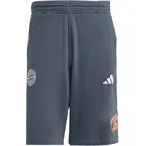 adidas FC Bayern München Shorts 2025/26 grau Herren Gr. M