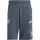 adidas FC Bayern München Shorts 2025/26 grau Herren Gr. M