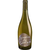 Spuma di Garga Bianco Veronese IGT Frizzante 2024, Bio Schaumwein, Biowein