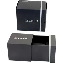 Citizen Eco-Drive Leder 40 mm AW1231-07E