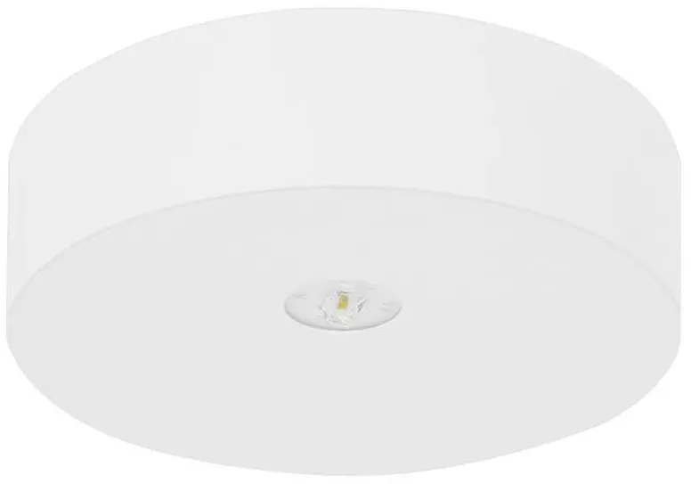 Fischer LED-Sicherheitsleuchte AXDE15I2