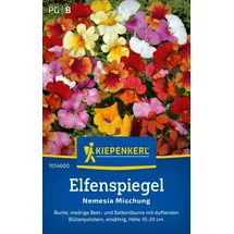 Kiepenkerl Elfenspiegelsamen Nemesia 100 Pflanzen