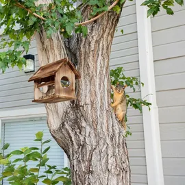 Relaxdays 10047729 Schale für Hunde/Katzen