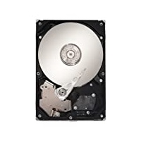 Seagate ST31000640SS 1TB SAS 3.5 7.2K 3G ST31000640SS