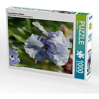 Calvendo Traumhafte Iris Blüten 1000 Teile Puzzle hoch |