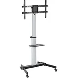 conecto TV Ständer 37–86 Zoll rollbar höhenverstellbar mit Rollen