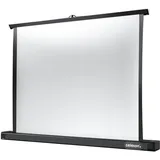 Celexon Professional Mini Screen 81x61cm 4:3