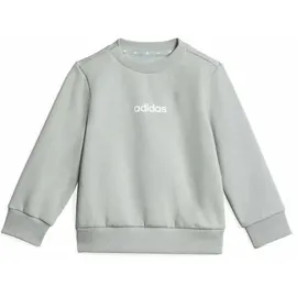 adidas Essentials Jogginganzug Wonder Sage/White 92