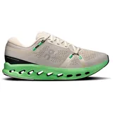 Herren Cloudsurfer 2 grau 45.0