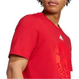 adidas FC Bayern München DNA Graphic T-Shirt Team Power Red 2 M