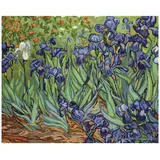 Luca-S Iris von Van Gogh, Zählmuster, 42,5x34cm