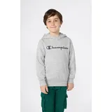 Champion Hoodie Grey 164