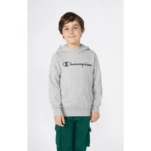 Champion Hoodie Grey 164