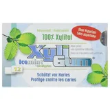 Kaugummi - Icemint 16,8g