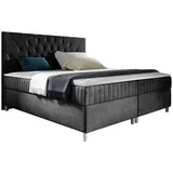 Mirjan24 Boxbett, Schwarz, Holz, H3, 140x200 cm, Schlafzimmer, Betten, Boxspringbetten