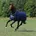 Pony Navy/Silver
