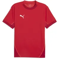 Puma teamFINAL Jersey L